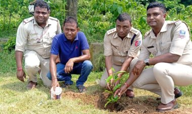 क्लीन ग्रीन आसनसोल बनाने के लिऐ एडीसीपी की पहल किया पौधारोपण