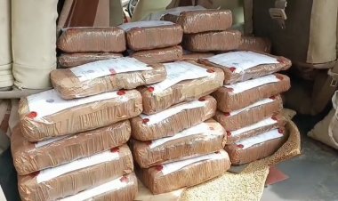 एक क्विंटल 95 किलो गांजा ज्बत, 1 महिला समेत 4 धराए