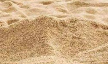 नदी की सफाई के नाम पर धड़ल्ले से हो रही बालू चोरी, ब्रिज होता जा रहा जर्जर