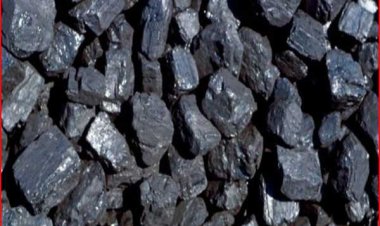 अवैध कोयले की खदान से लेकर डिपो संचालन सातग्राम एरिया छेत्र में