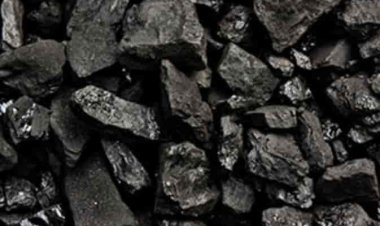 बिजपुर काटा गुड़ीया स्थित डीओ स्टॉक पॉइंट के नाम पर  डिपो से अवैध कोयला का कारोबार