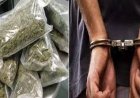 80 किलो गांजा के साथ 4 को दबोचा पुलिस ने