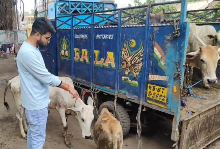 गौ वंश लदे वाहन को पकड़ा, सौंपा पुलिस को, कार्रवाई की मांग