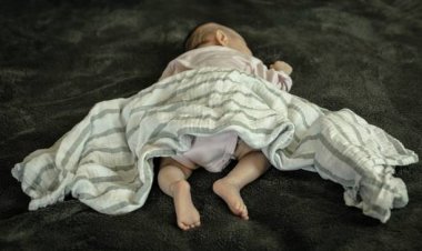 जंगल में मिला नवजात का शव, मचा हड़कंप, पुलिस कर रही जांच