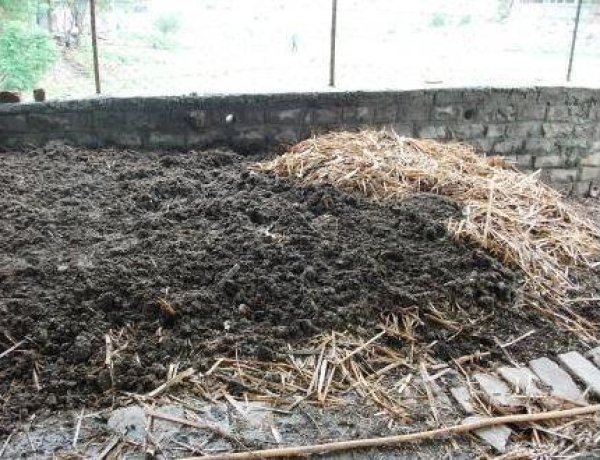 रेल के जमीन पर अवैध रूप से खटाल करने वाले व्यक्ति के ऊपर क्या कार्रवाई होगी