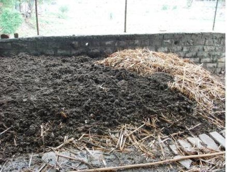 रेल के जमीन पर अवैध रूप से खटाल करने वाले व्यक्ति के ऊपर क्या कार्रवाई होगी